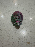 Springy Turtle