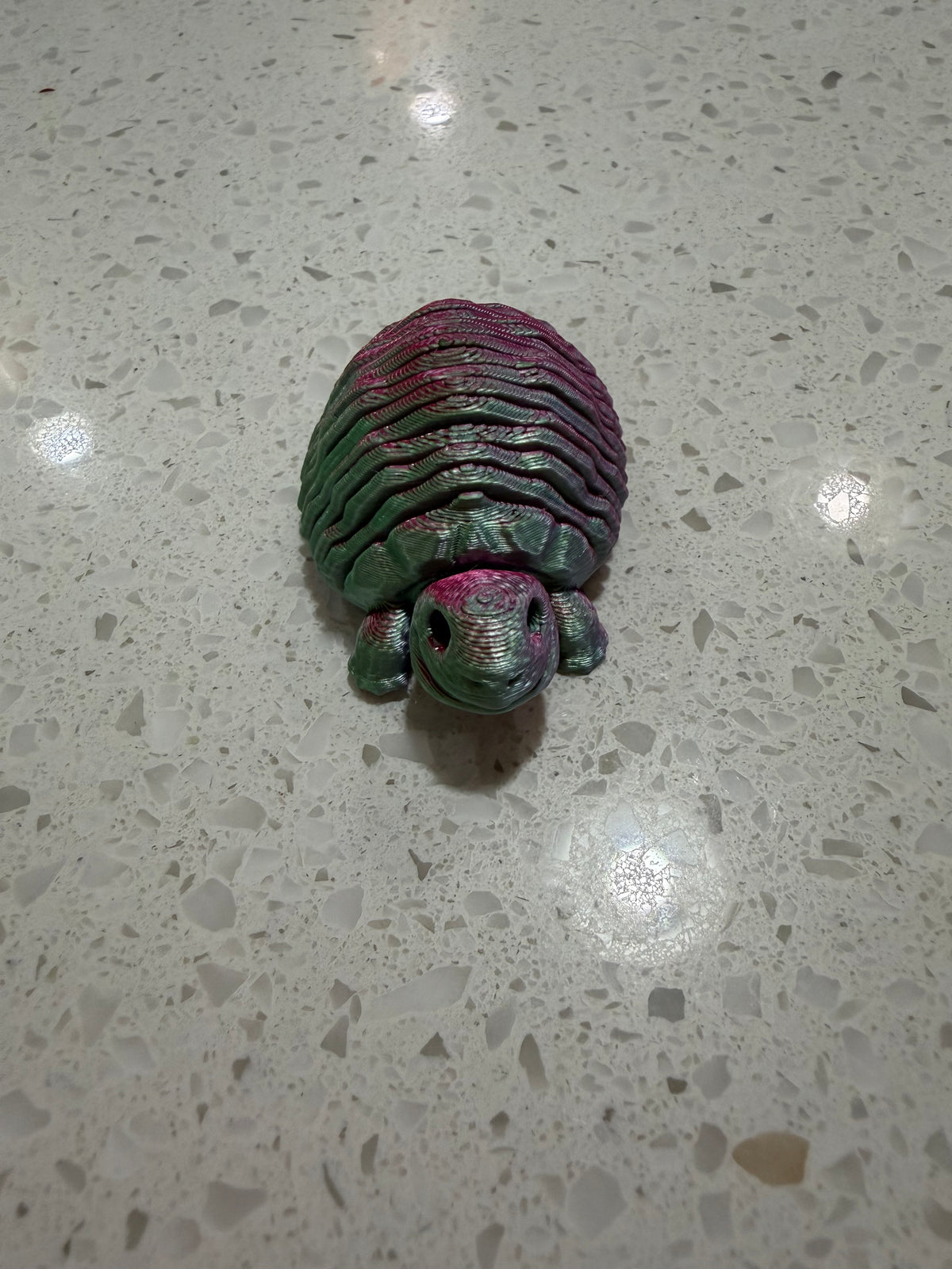 Springy Turtle